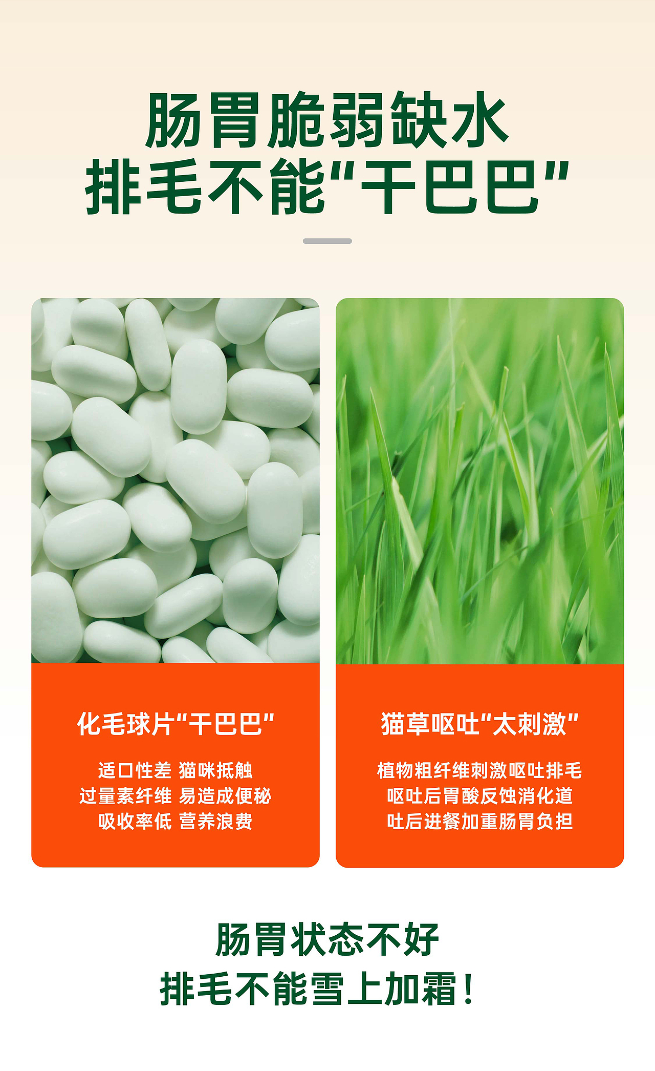 红狗营养品详情页策划设计