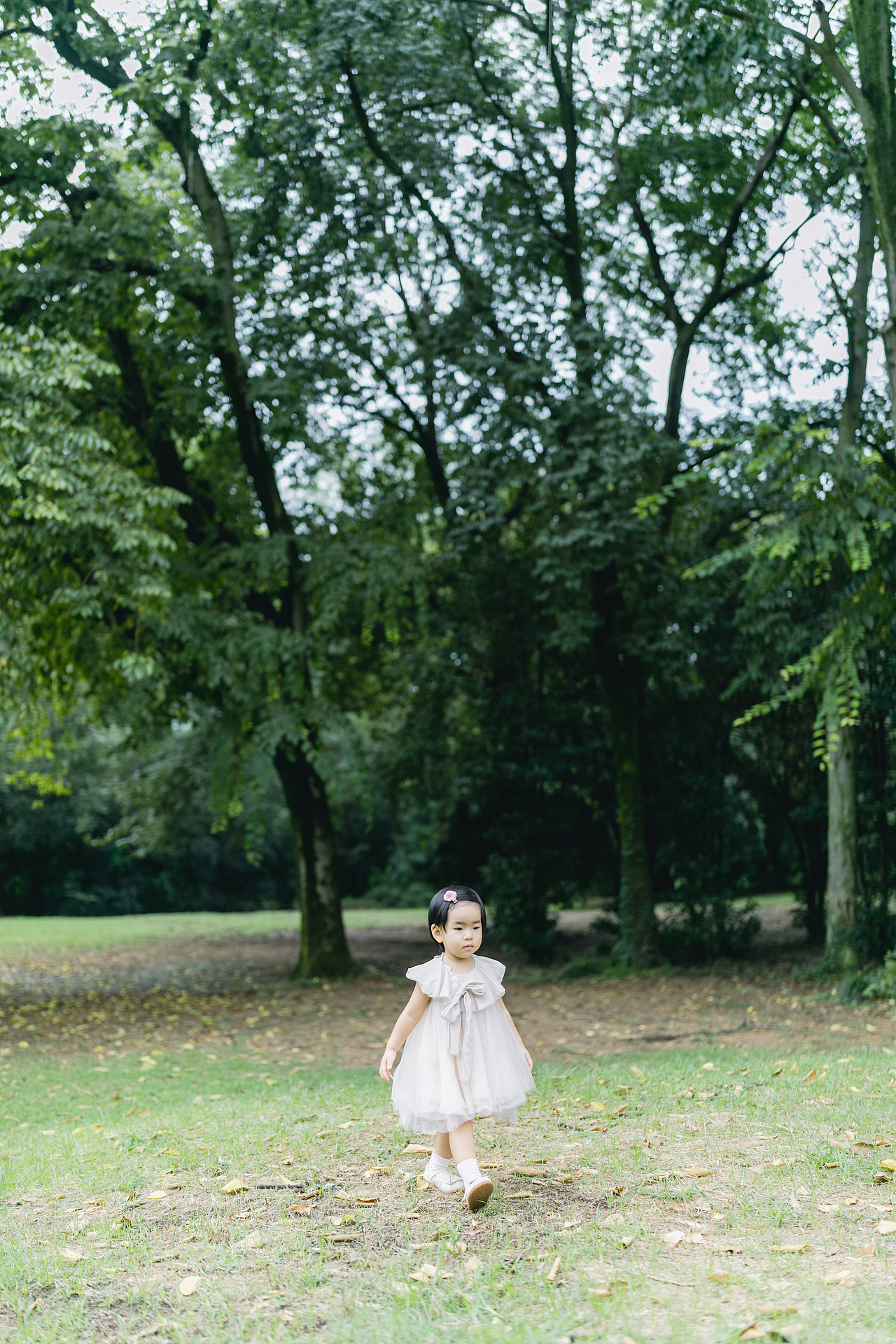 两岁的团团你好