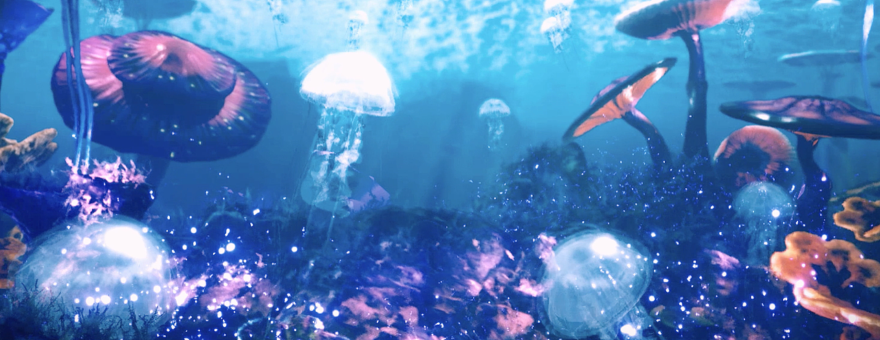 #新媒体交互艺术#OSC