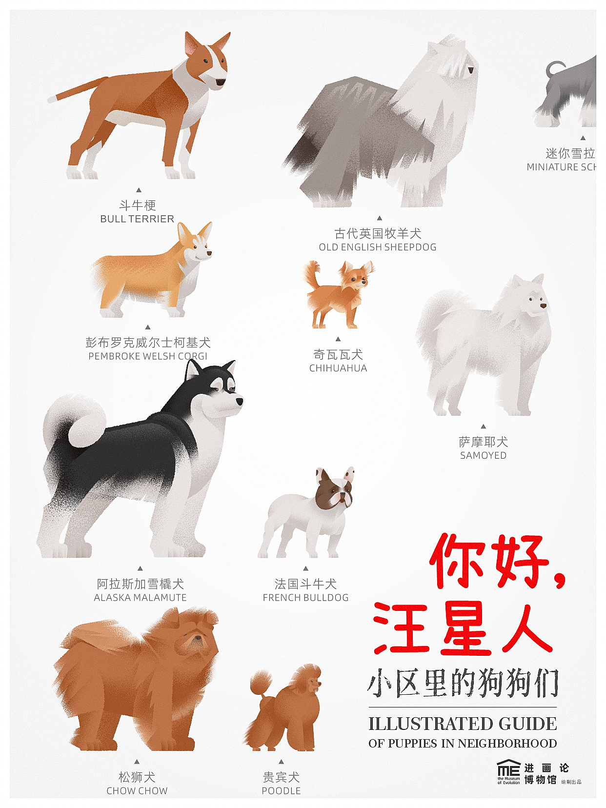 小区汪星人图鉴 | Illustrated Guide of Puppies