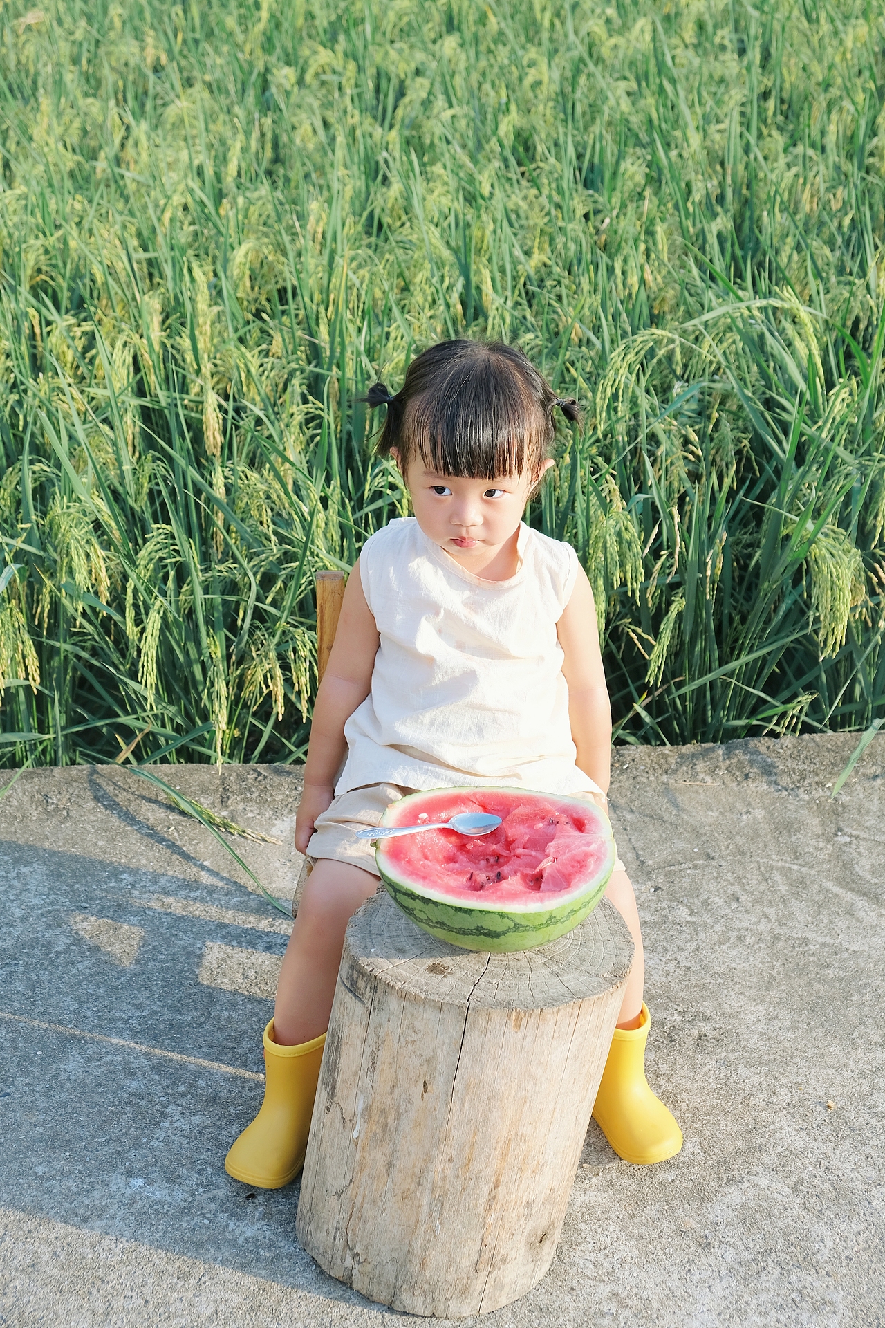 稻田加西瓜，这是你记忆里的夏天吗（图ZMzY3MzgyODUy） - 人像摄影 - 站酷设计师陳丫丫原创素材 - 站酷ZCOOL
