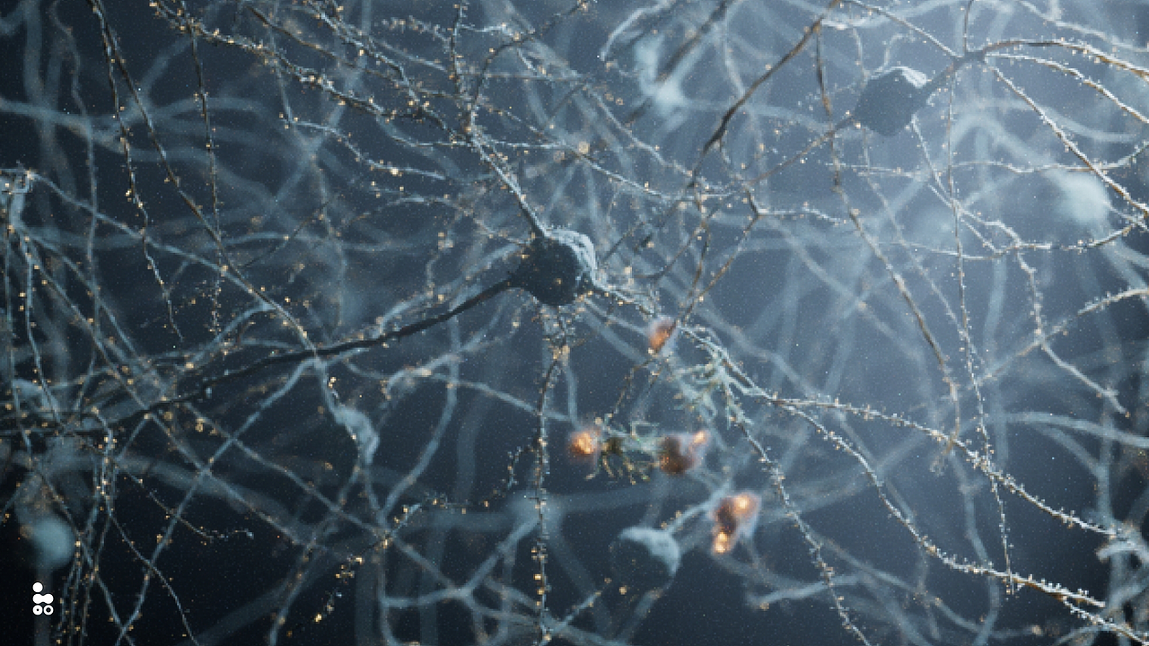 脑新生 动态设计（图ZMzE1MTEzODg0） - 人物/生物 - 站酷设计师omoolab原创素材 - 站酷ZCOOL