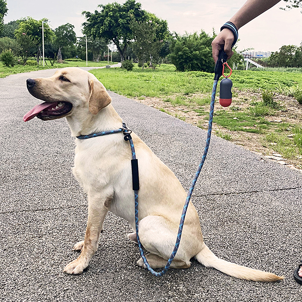 亚马逊宠物狗绳牵引绳