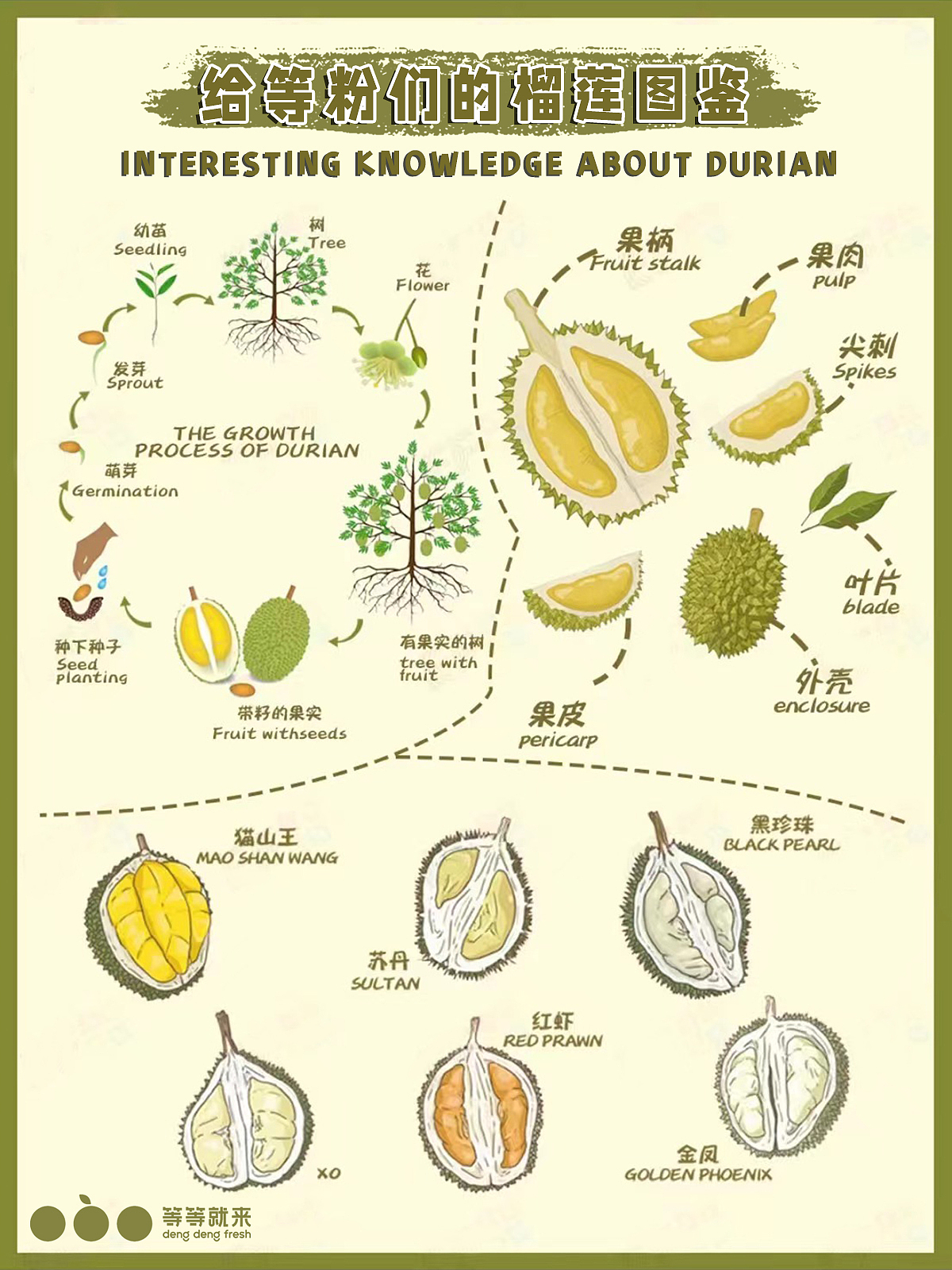 农业生鲜食品饮料零食类目（图ZMzU2MjY5ODM2） - 其他平面 - 站酷设计师嘉怡姐姐原创素材 - 站酷ZCOOL