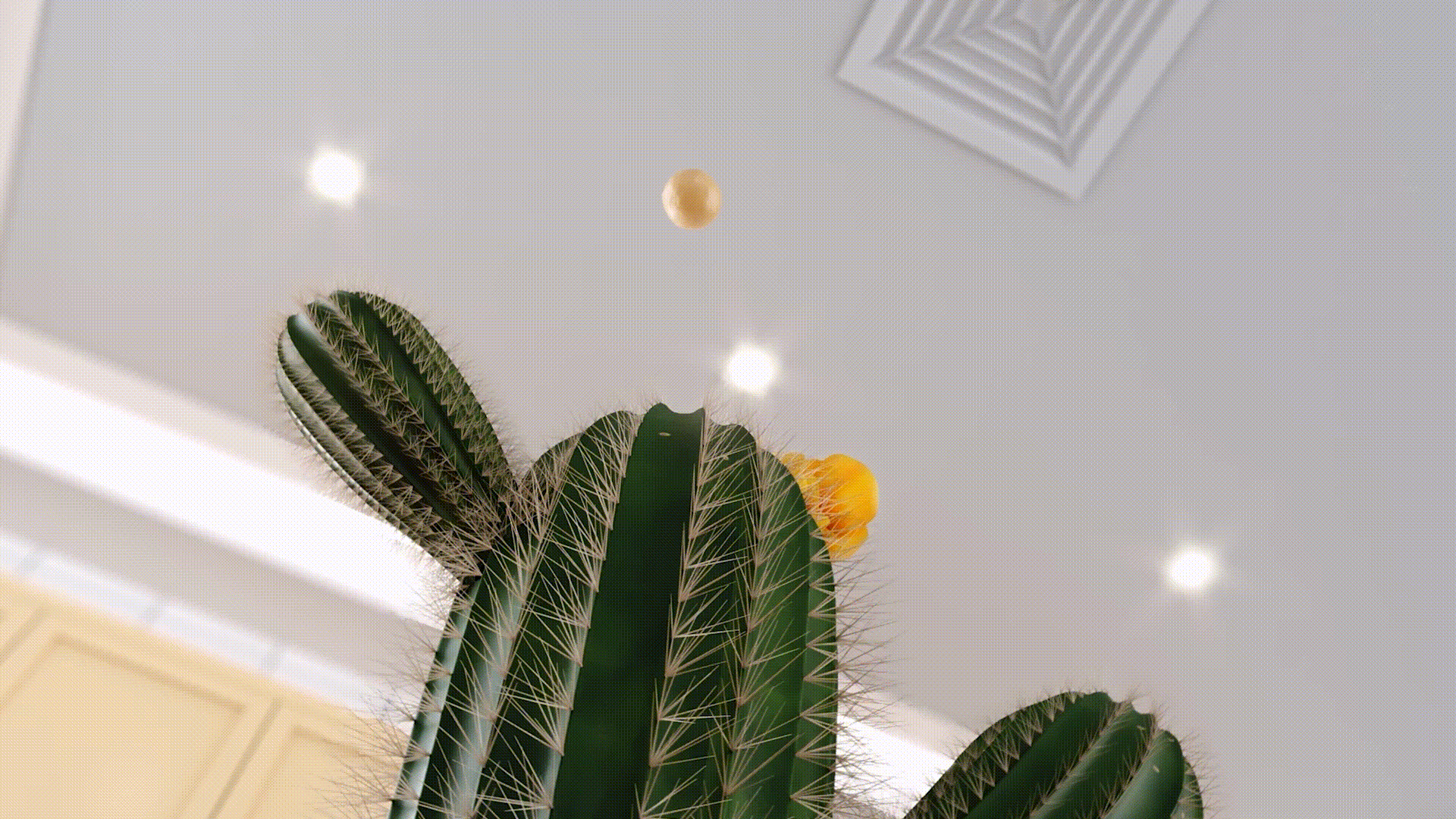 电商视频 | 美的仙人掌豆浆机｜CYC制作（图ZMzE4ODIwMTc2） - 短片 - 站酷设计师承与承文化原创素材 - 站酷ZCOOL