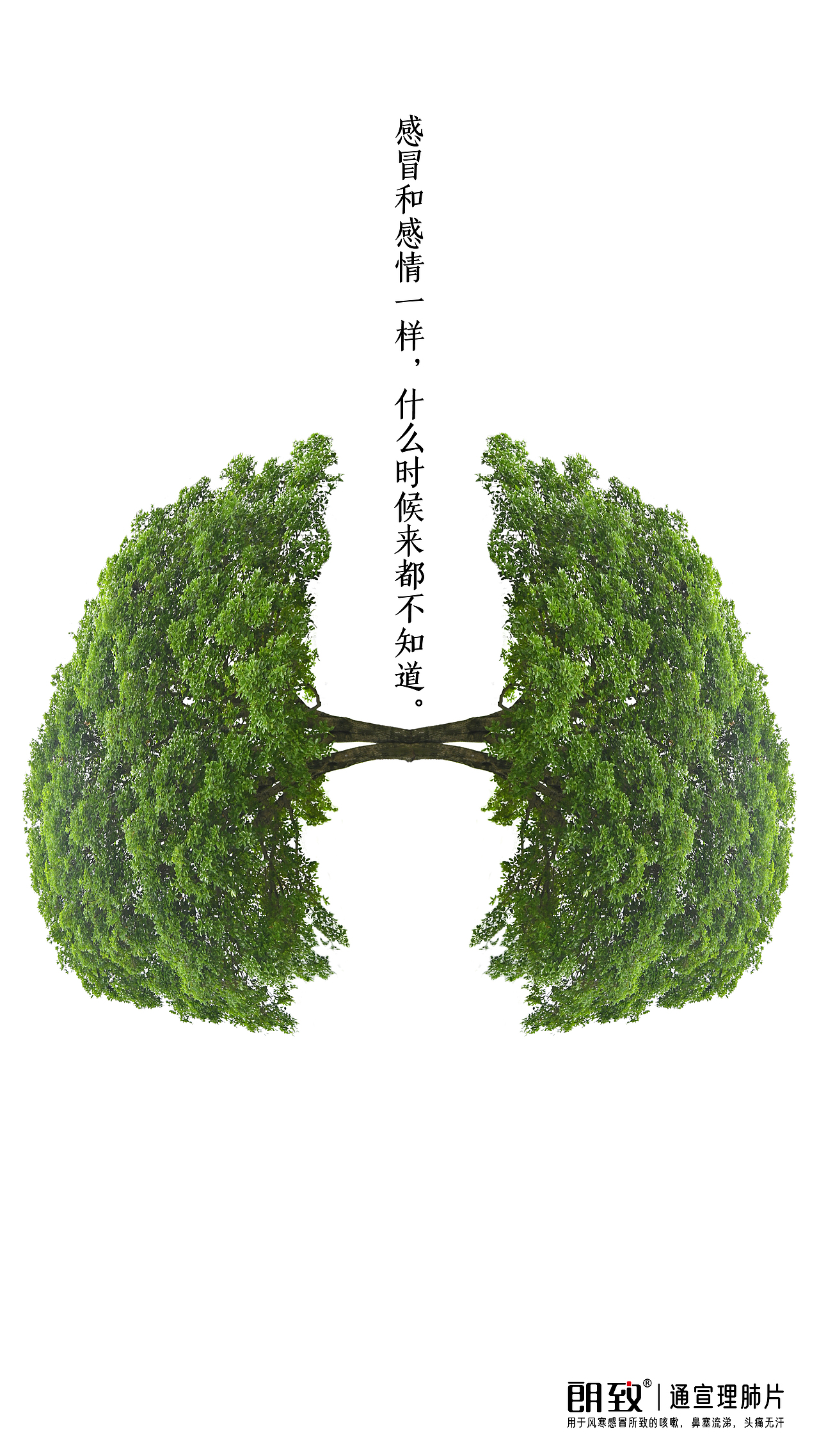 我在药企做设计