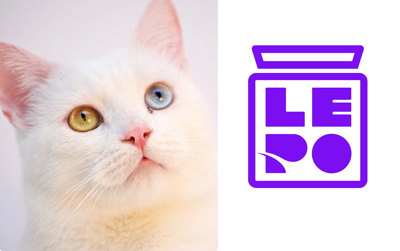 lepo宠物品牌提案设计（图ZMzY0Mzc1MjAw） - 品牌 - 站酷设计师Mr暮春原创素材 - 站酷ZCOOL