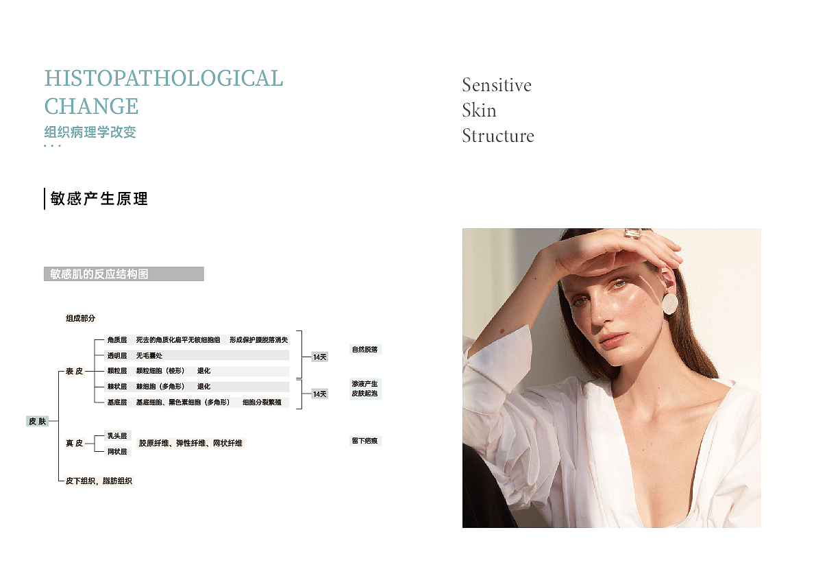 医美类-品牌手册设计