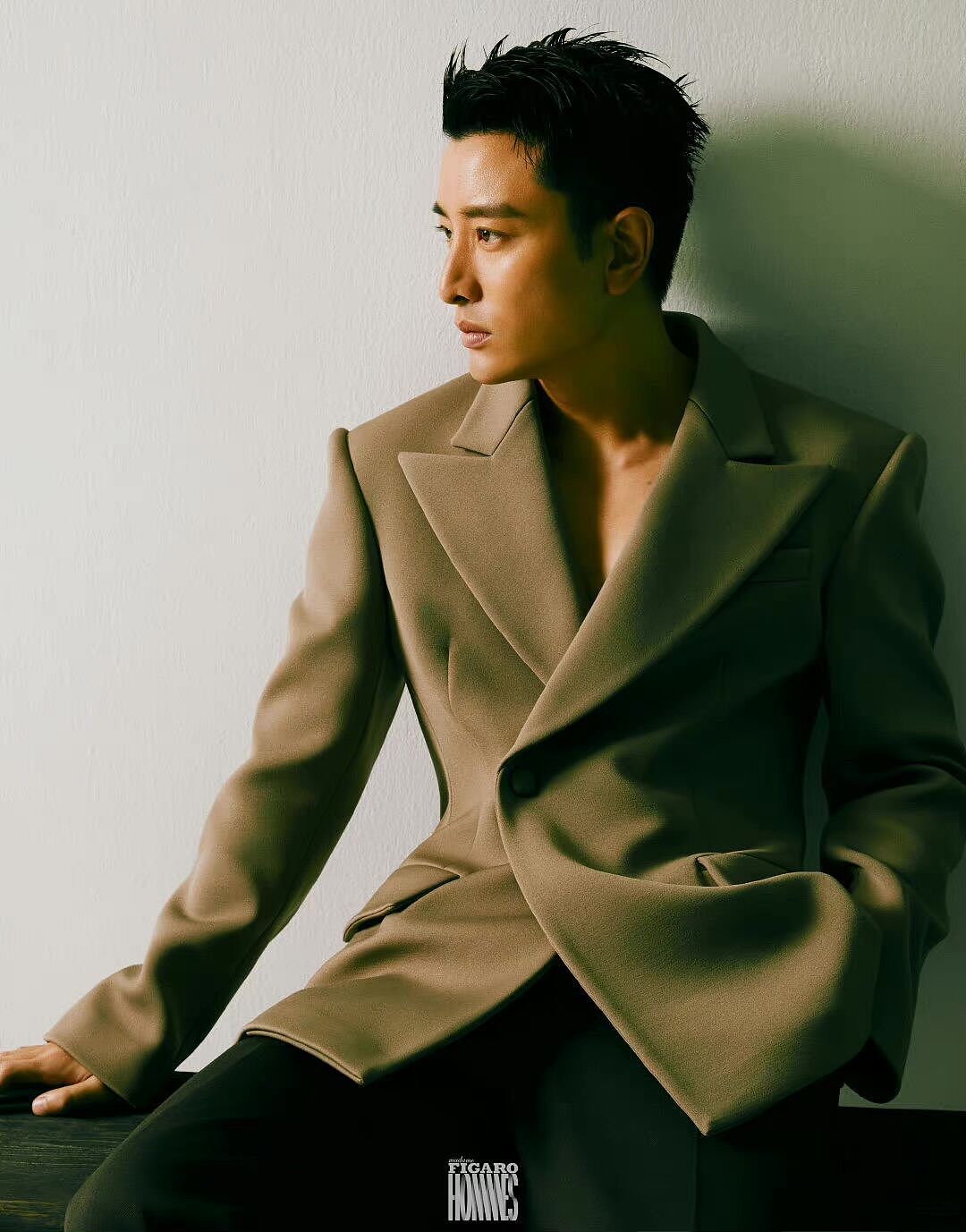 費加羅Madame Figaro 賈乃亮（圖ZMzA3MDY4MTQ4） - 修圖/后期 - 站酷設(shè)計師修圖師螺號原創(chuàng)素材 - 站酷ZCOOL