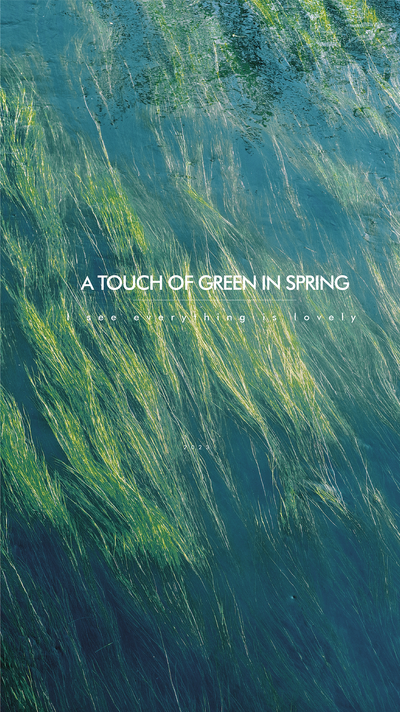 春日里的一抹绿（图ZMzM1NDYyMDg4） - 风光摄影 - 站酷设计师juvenile奶瓶原创素材 - 站酷ZCOOL