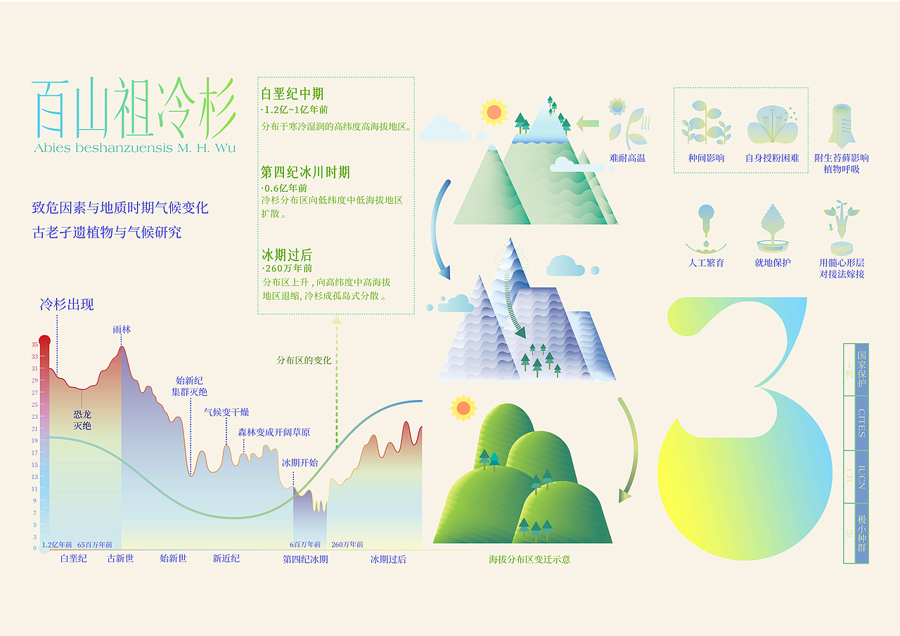 最后的植物(图ZMjk3NDc4MjI4) - 信息图表 - 站酷设计师竹子林里赏绿竹原创素材 - 站酷ZCOOL