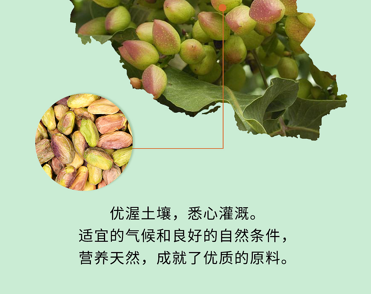 开心果片详情拍摄制作（图ZMzYxMTYzOTEy） - 美食摄影 - 站酷设计师s清清子衿原创素材 - 站酷ZCOOL