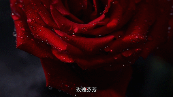 电商视频 | DAMASCENA玫瑰护肤套装产品视频