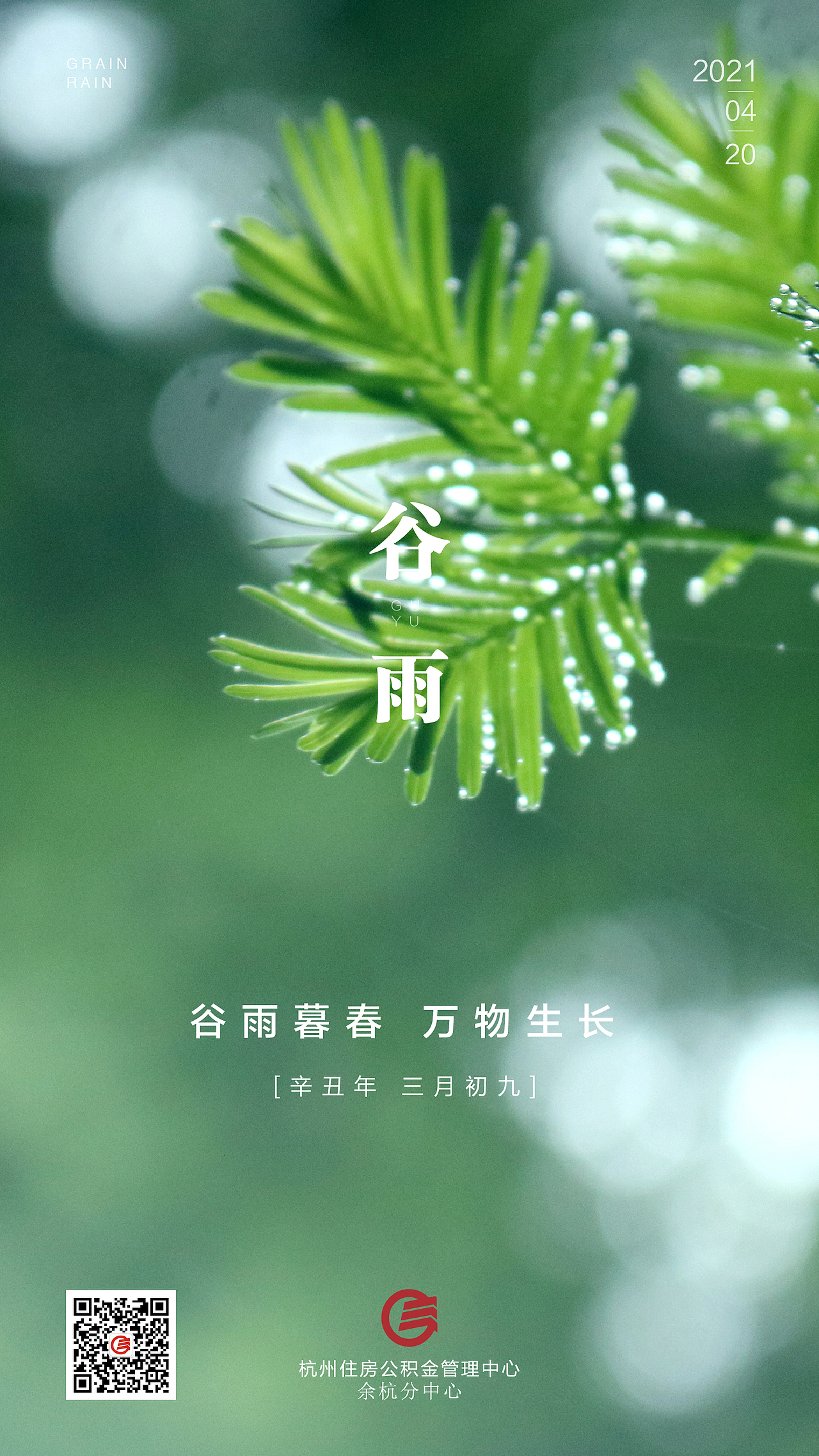 余杭公积金 节气海报