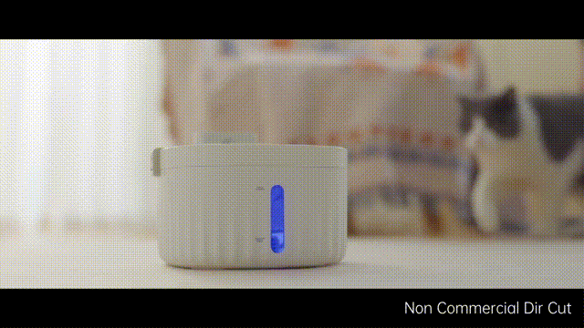 宠物饮水机 X 《呵护毛孩子》X Dir Cut