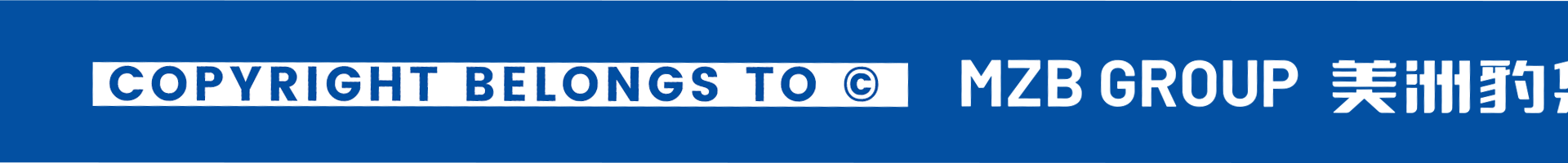 兔年豹富——福豹豹IP形象设计（图ZMzI3NDQwMjI0） - IP形象 - 站酷设计师湫恋_huik原创素材 - 站酷ZCOOL