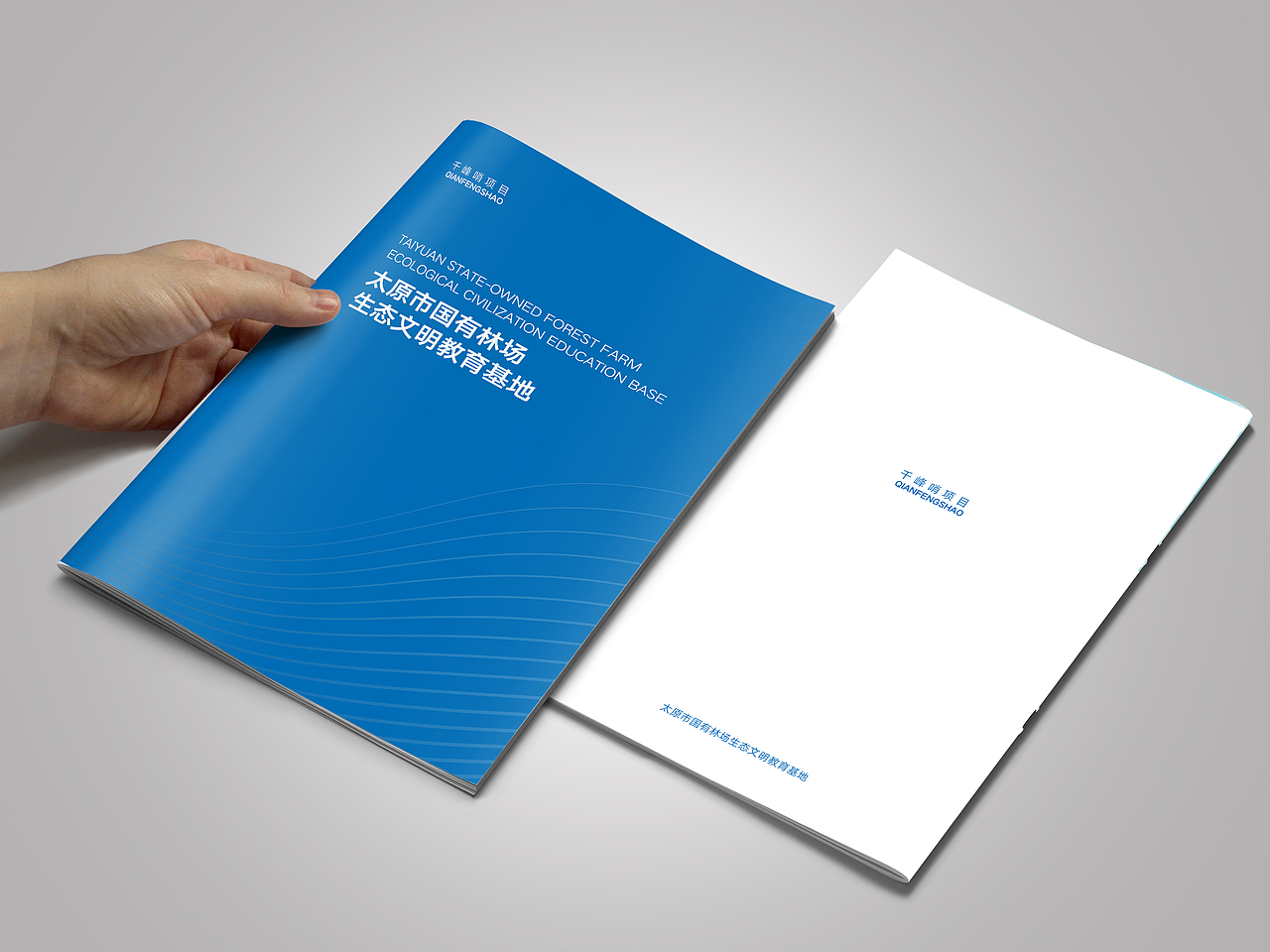 画册 宣传册 画册设计 宣传册设计