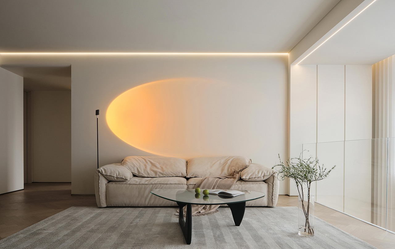 DoLong董龍设计全案实景 「青霁」