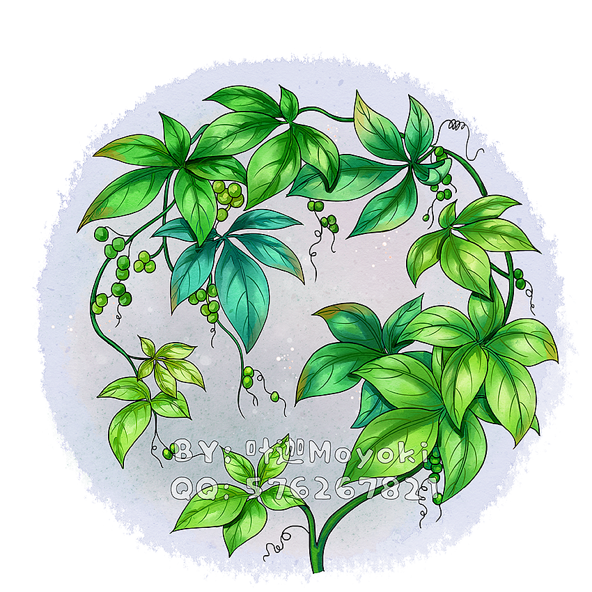 植物插画（图ZMzEyOTk1MjAw） - 商业插画 - 站酷设计师叶迦原创素材 - 站酷ZCOOL