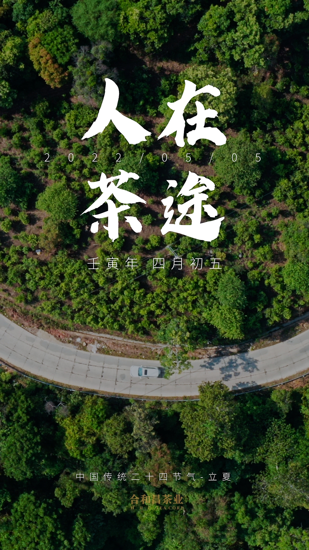 立夏|二十四节气-人在茶途