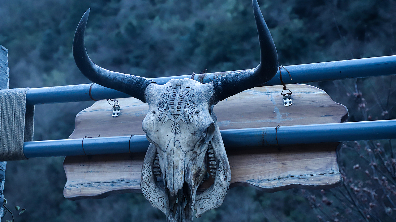 Natural Scenery丨成都《3》