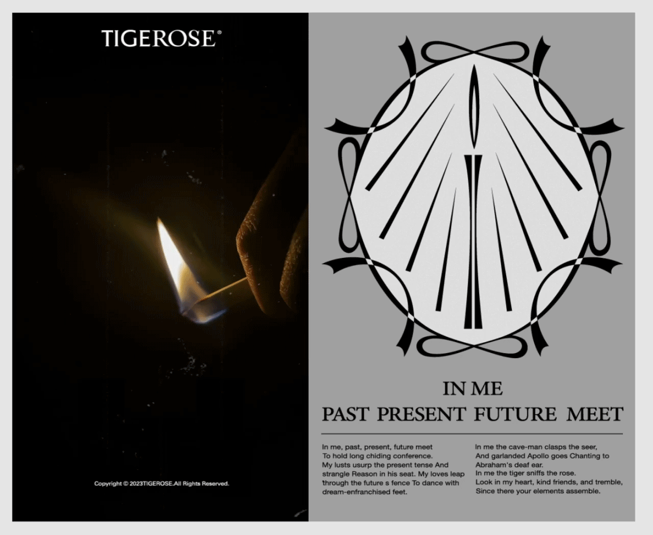 猛虎蔷薇®品牌设计以及周边设计分享