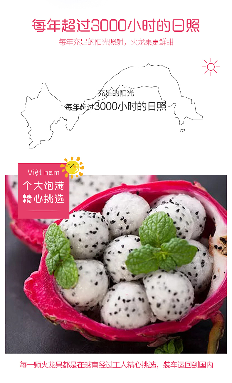 2019火龙果详情页设计