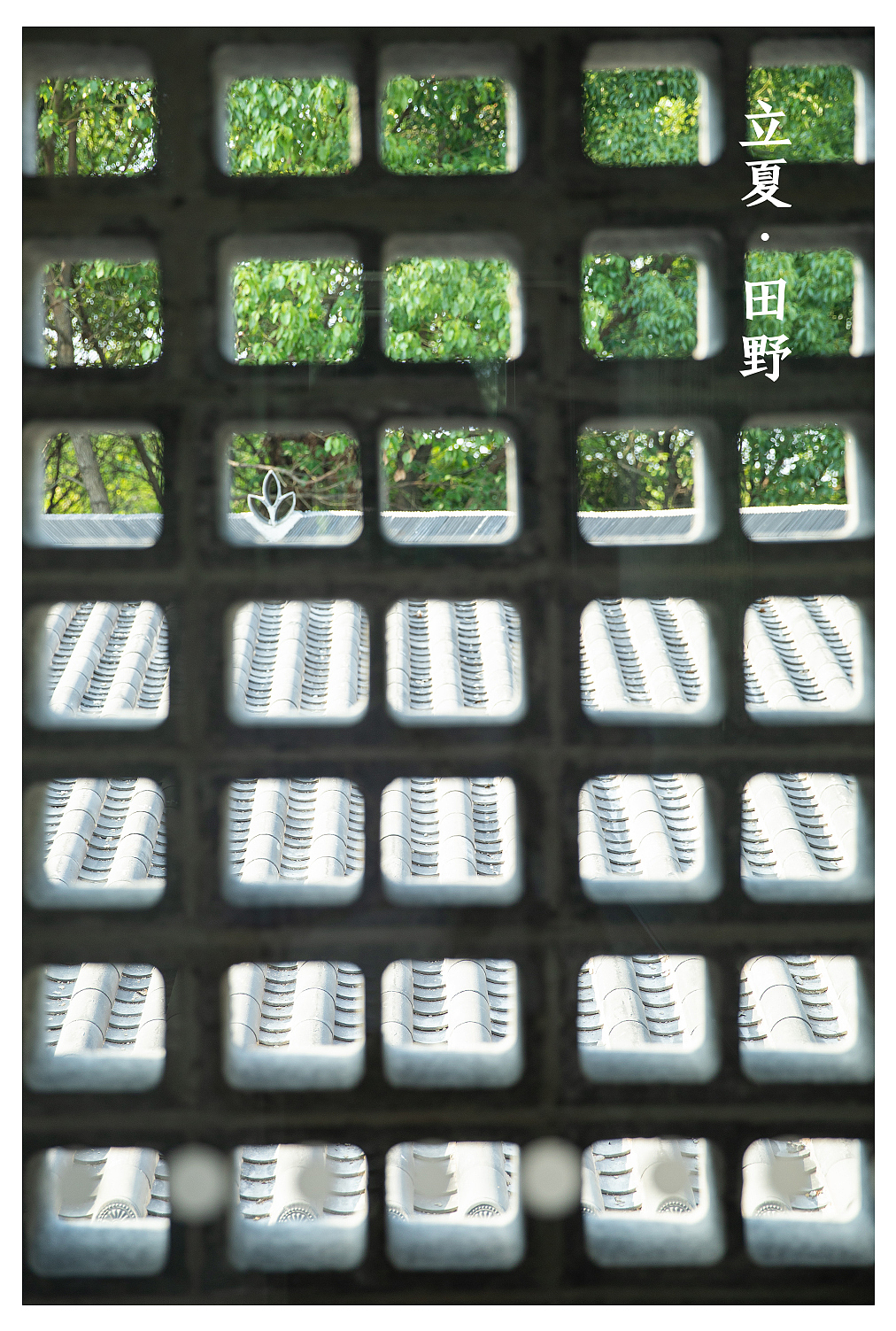 餐厅探店（图ZMzA1MzkwNDIw） - 其他摄影 - 站酷设计师XIAOYU2022原创素材 - 站酷ZCOOL