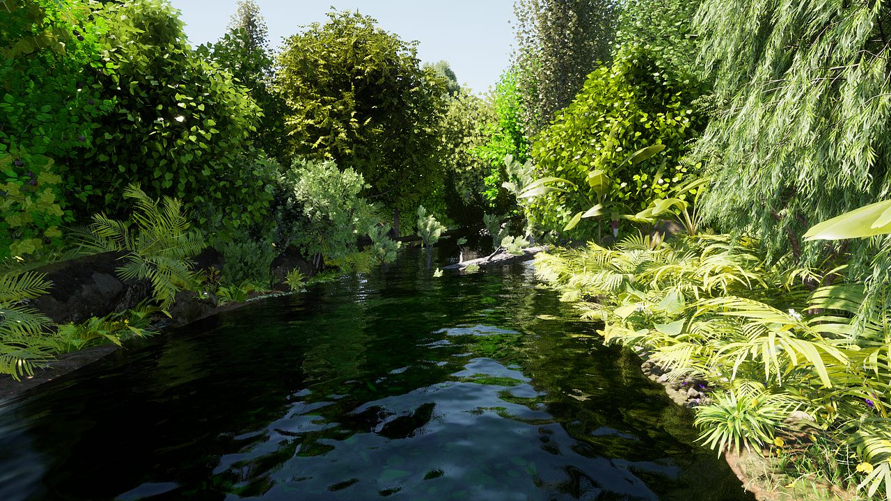 丛林小溪,溪流的动力学还有待提高