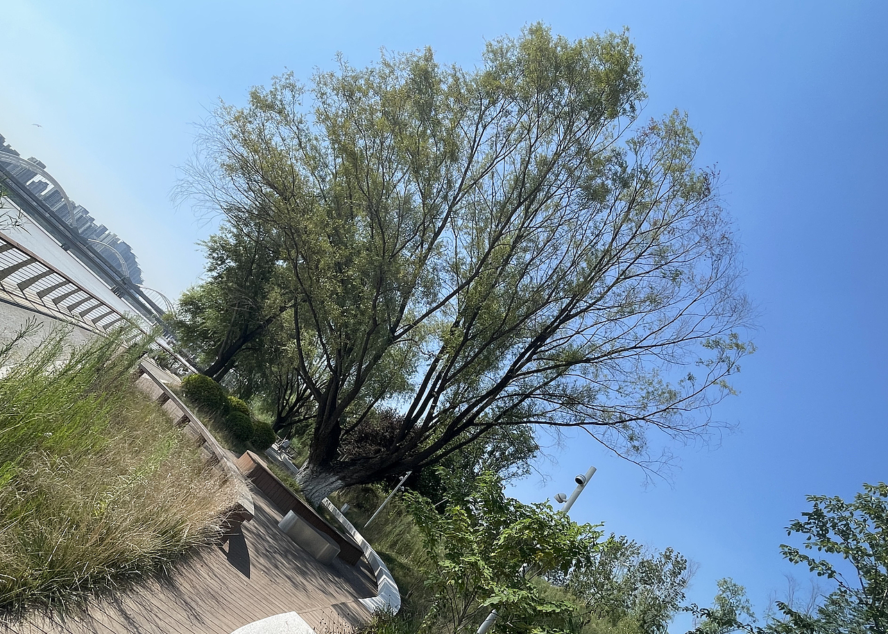 河边走一走（图ZMzQ4NDQ1ODY4） - 风光摄影 - 站酷设计师么尾巴的大灰狼原创素材 - 站酷ZCOOL