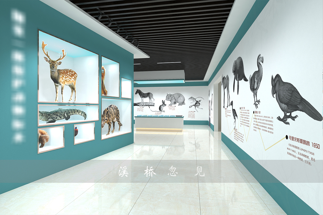 某动植物馆局部