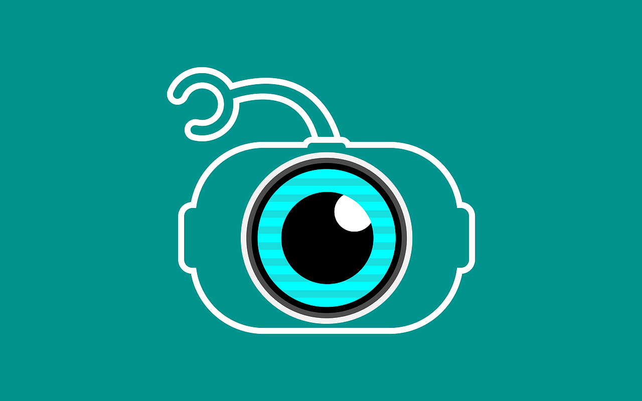 YOUYOU—IP