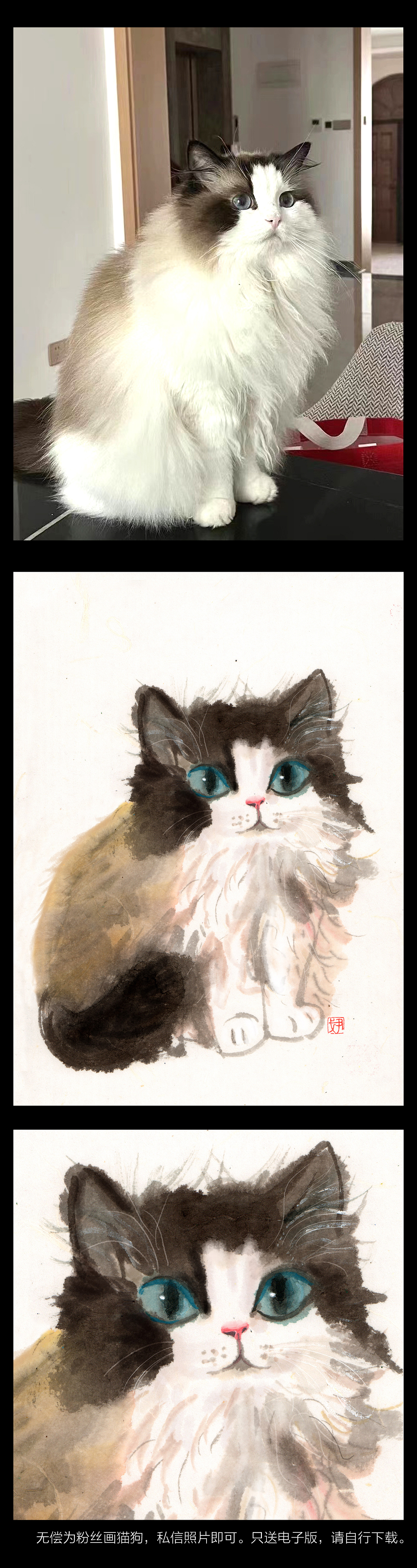 无偿为粉丝画猫狗活动,在站酷也来一波,三天截止。