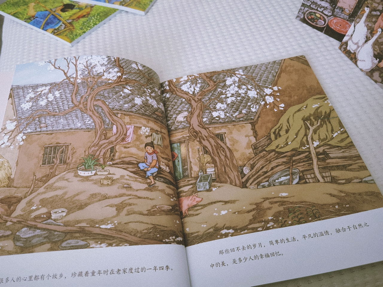 《致我们亲爱的故乡》平装版（图ZMzY5NjQ1Mjky） - 绘本 - 站酷设计师图拉de橡胶球原创素材 - 站酷ZCOOL