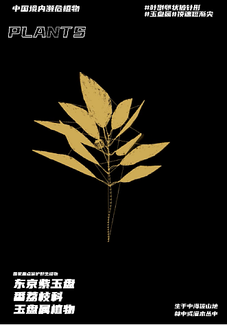 幽明芳荪——中国境内濒危植物数字化视觉形象设计