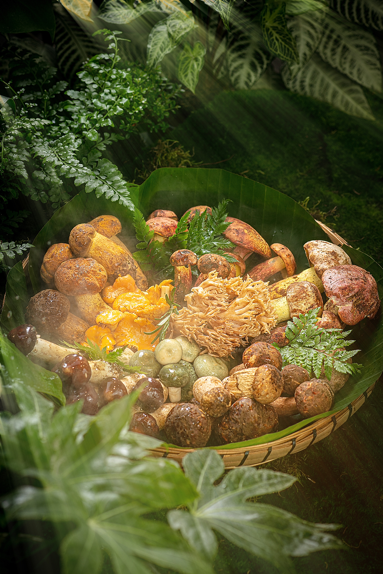 云南美食花菇朵 美食摄影 空间摄影