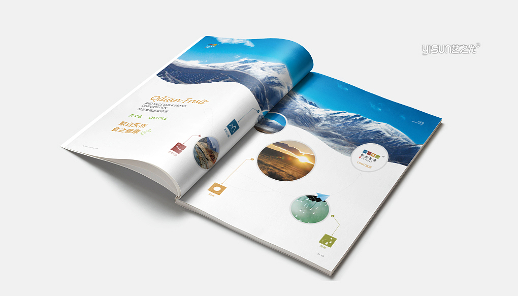 企业画册|企业宣传册|平面设计|画册设计|招商画册