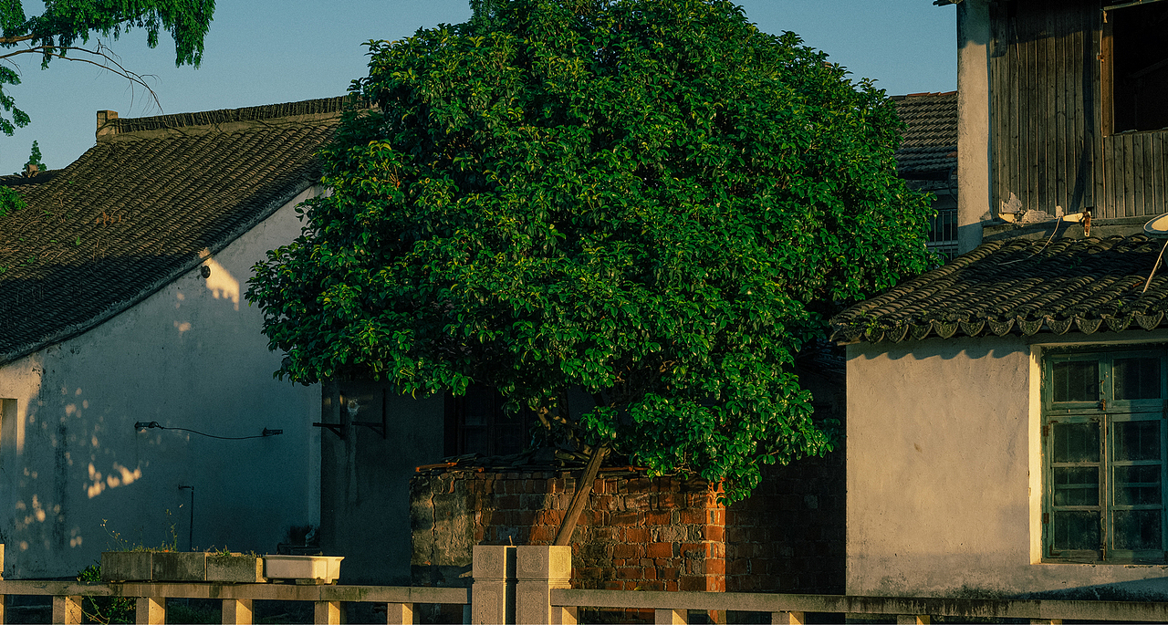 【午后摄影扫街】即将消失的老城区
