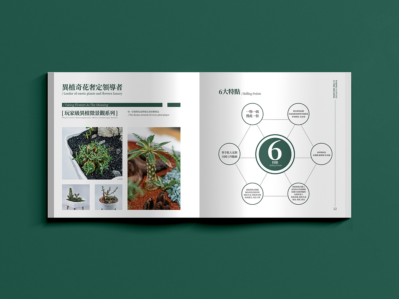 花势力品牌设计总结