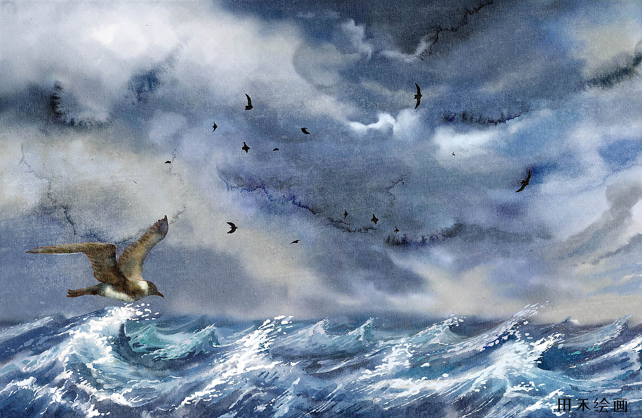 大家小绘-高尔基《海燕》绘本_田禾插画-站酷zcool
