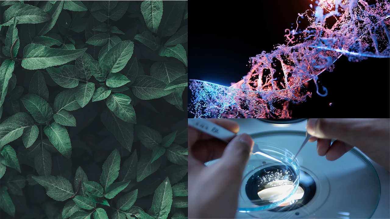 vi设计-鼎渤生物科技