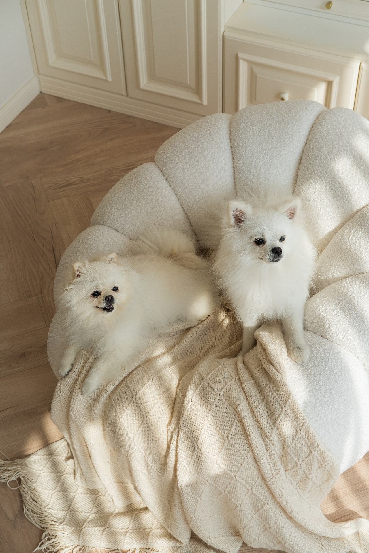 煦和（图ZMzUyMzI0Nzg4） - 家装设计 - 站酷设计师成都宏福樘设计原创素材 - 站酷ZCOOL