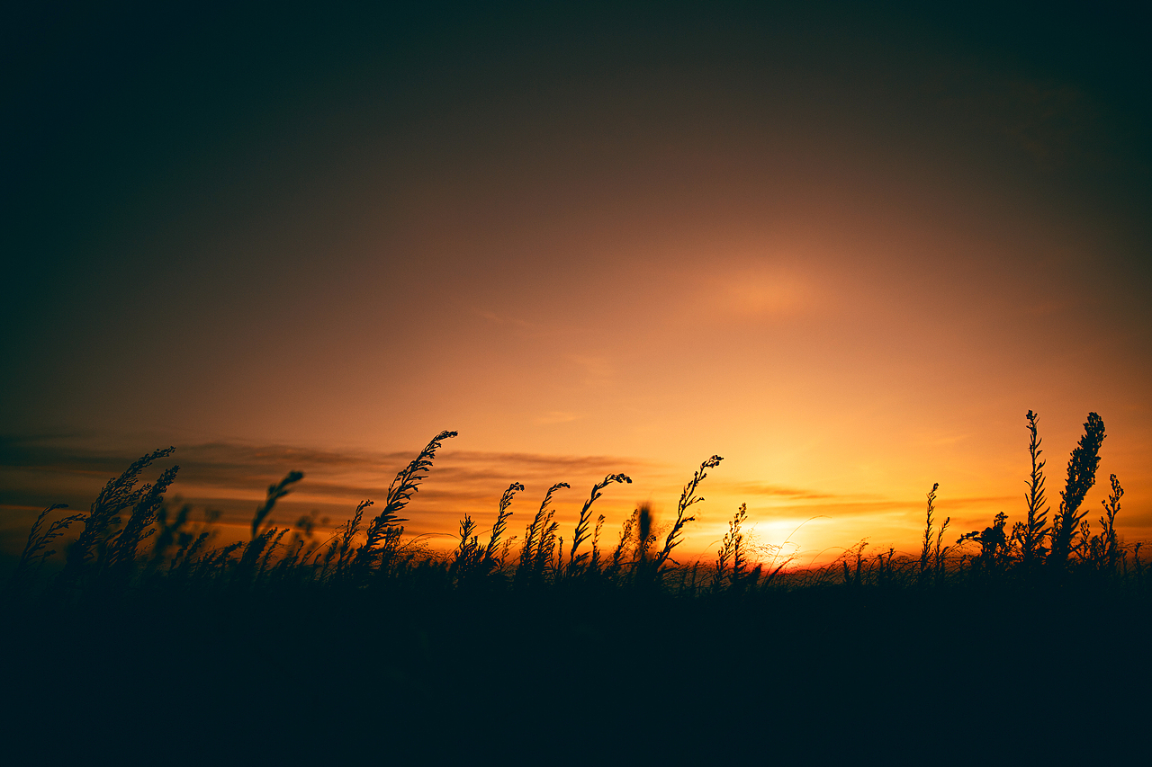 跋涉几座山,换你一夕神采