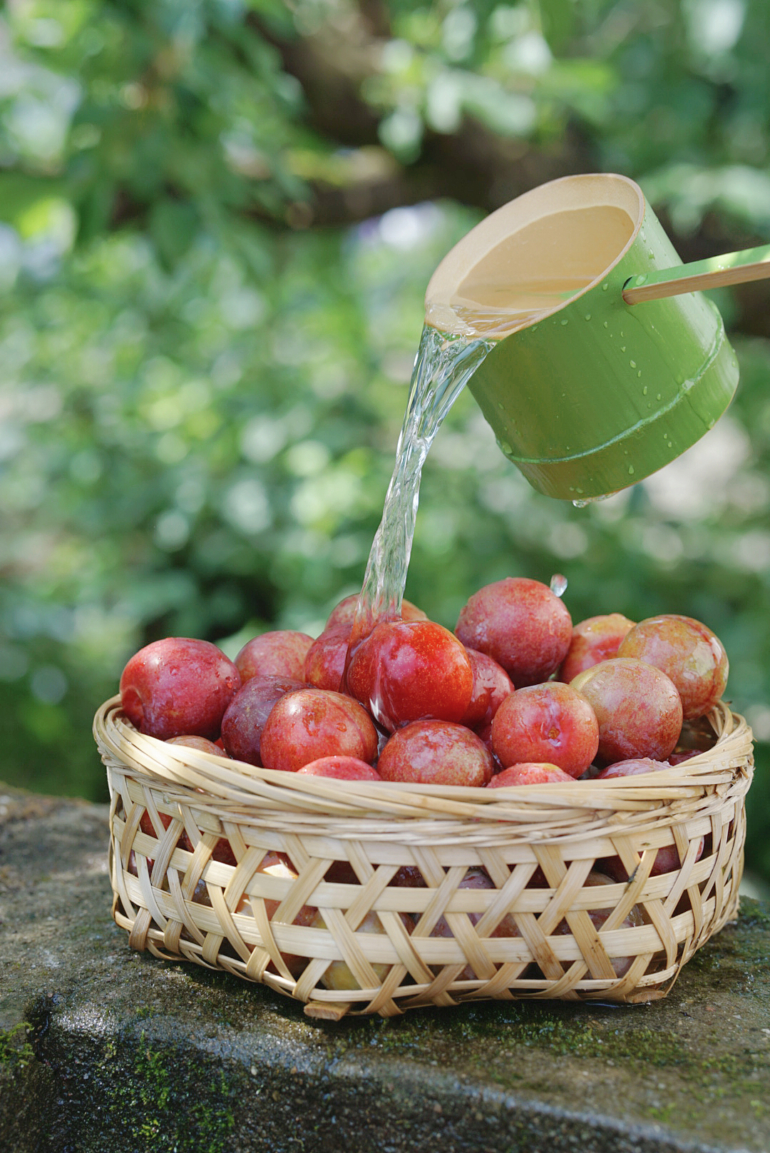 关于夏天的味道（图ZMzA3MTM4MDU2） - 其他摄影 - 站酷设计师日光山野原创素材 - 站酷ZCOOL