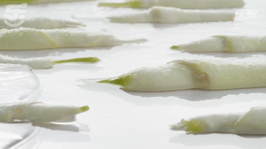 美食创意视频 | 绿茶仲夏上新 X 乐蚁视觉（图ZMzA4MDQzOTky） - 短片 - 站酷设计师乐蚁视觉原创素材 - 站酷ZCOOL