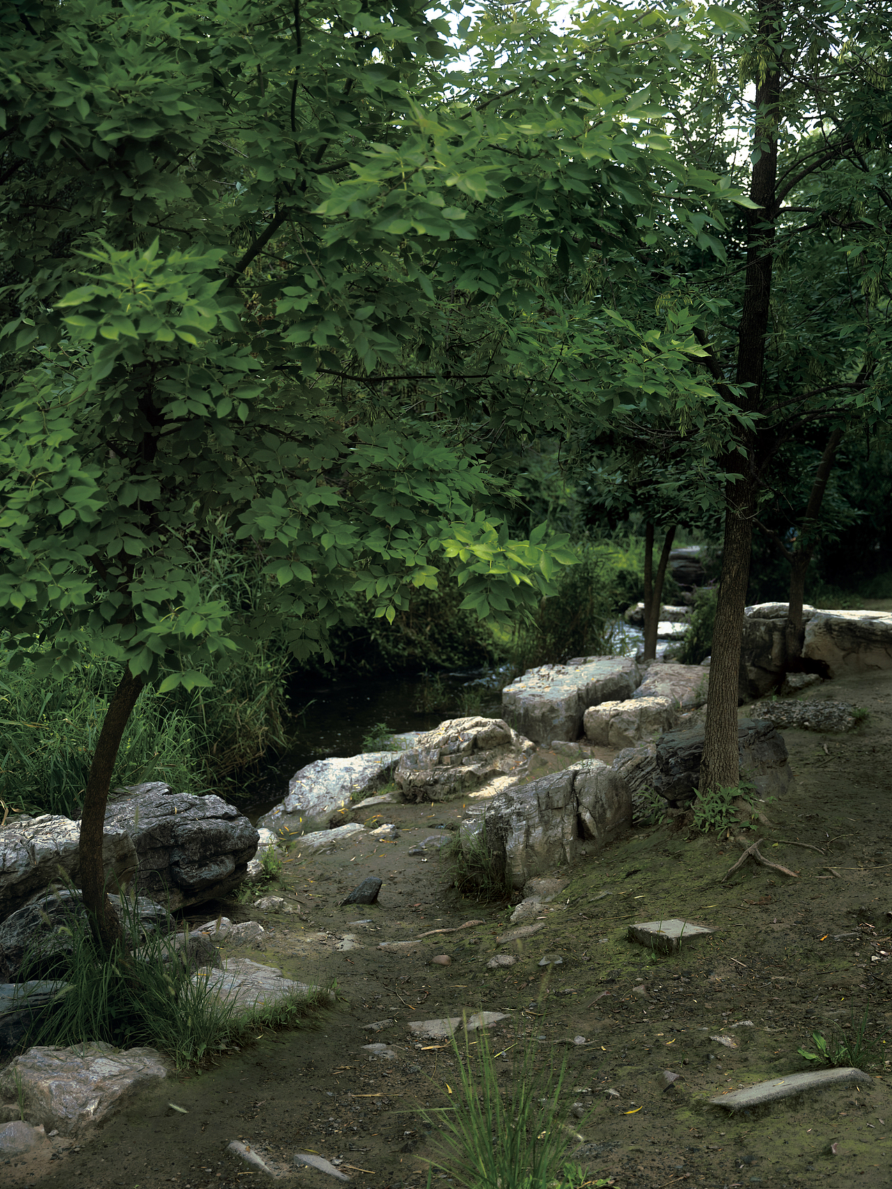 「秋天一定在努力忘记着什么」