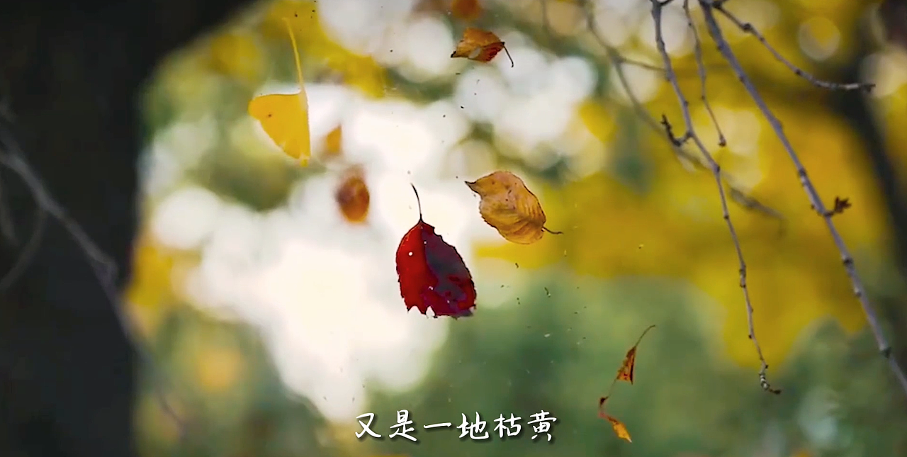 我在浔阳遇见你