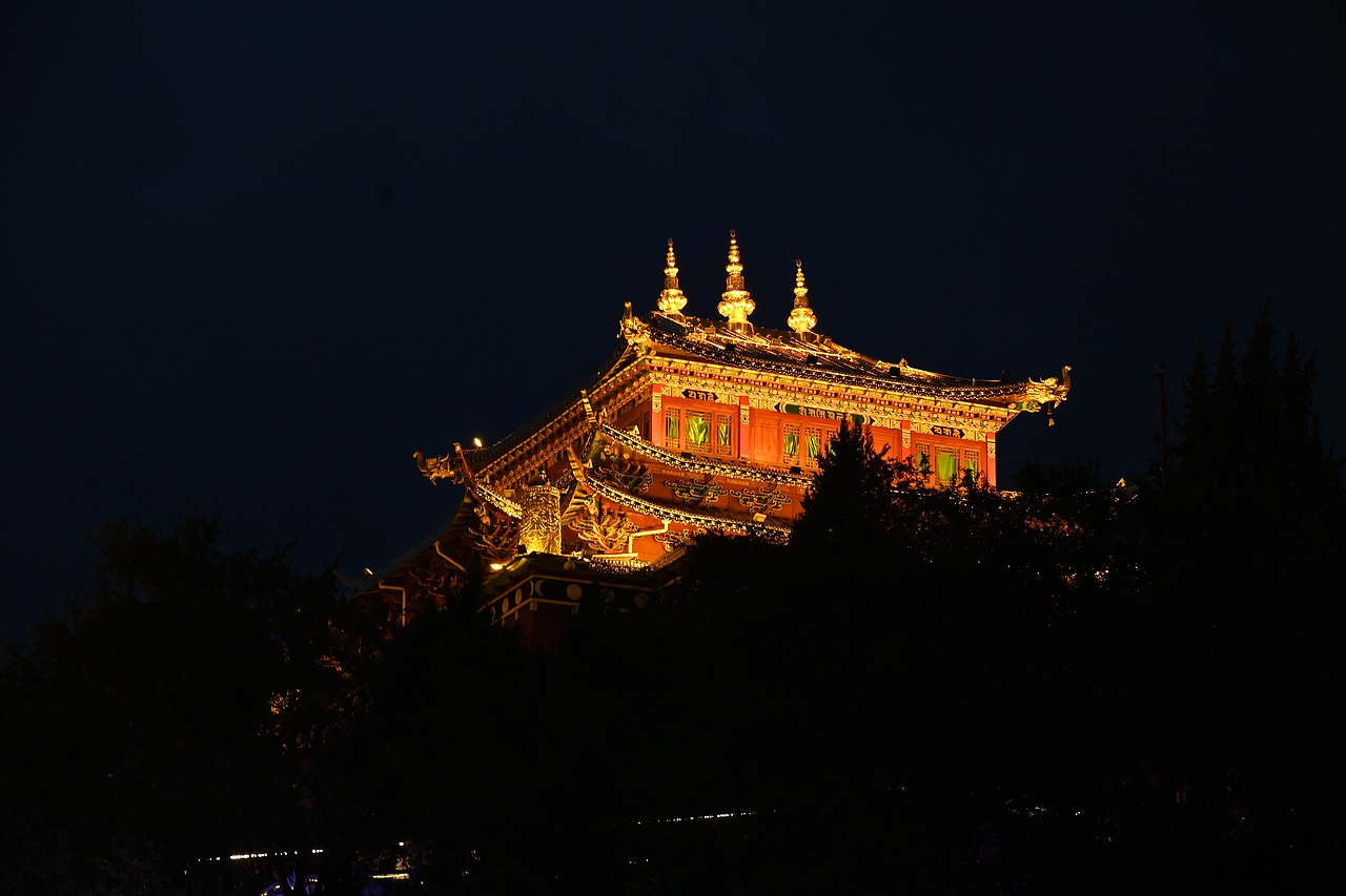 初入摄影,记录生活