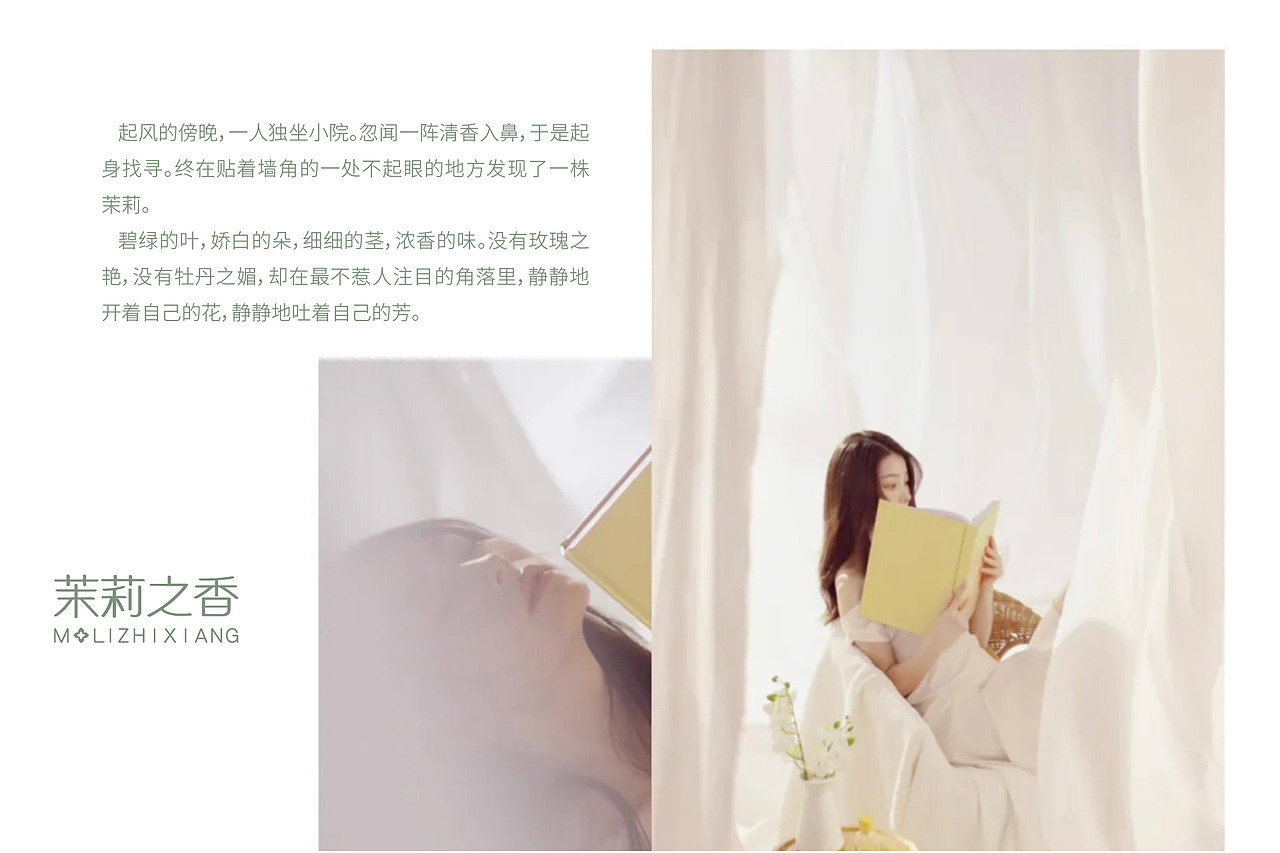 茉莉之乡 包装设计提案（图ZMzIyMTM1ODky） - 包装 - 站酷设计师一枚小星宇原创素材 - 站酷ZCOOL