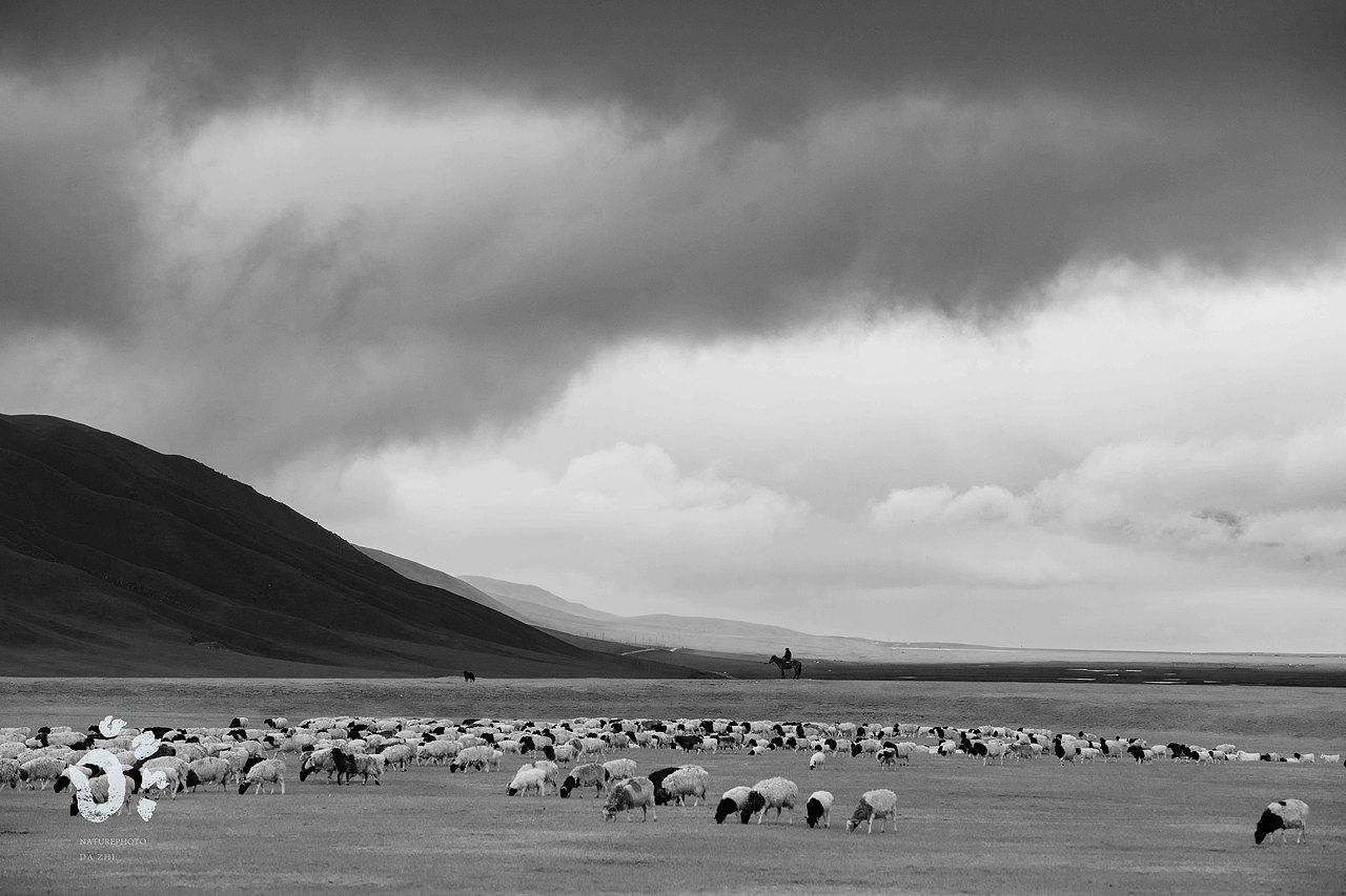 路遇风景（图ZMzUwMjI5MjY4） - 风光摄影 - 站酷设计师naturephoto原创素材 - 站酷ZCOOL